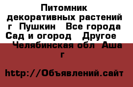 Питомник декоративных растений г. Пушкин - Все города Сад и огород » Другое   . Челябинская обл.,Аша г.